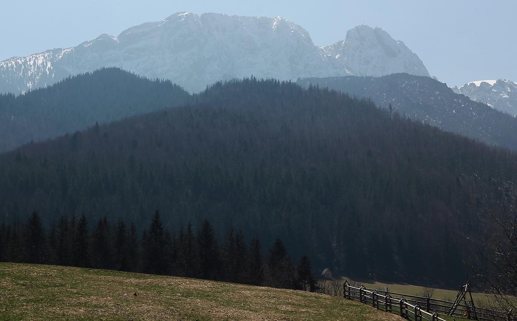 Willa Pod Halami Apartment Zakopane Exterior foto